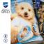 Coussin - Petit ours polaire