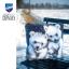 Coussin - Petits ours polaires