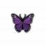 Purple Wings Needle Minder
