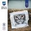 Gros plan sur un chat