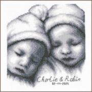Sampler de naissance - Jumeaux