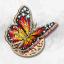Papillon brillant