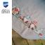 Nappe - Gnomes