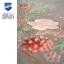 Chemin de Table - Roses de Noël