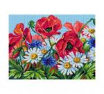 Fleurs sauvages