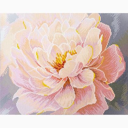 Grâce Florale - Avec cadre