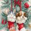 Siestes de Noël