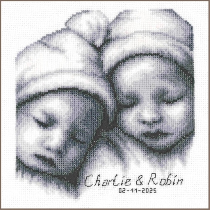 Sampler de naissance - Jumeaux
