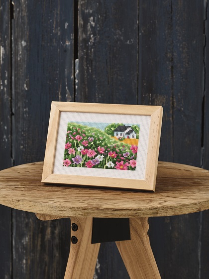 Flower Field