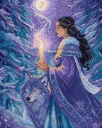 Enchanteresse Arctique
