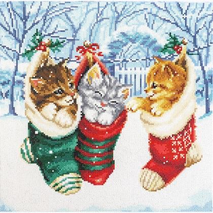 Chatons des neiges