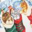 Chatons des neiges