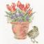 The Meadow Pipit