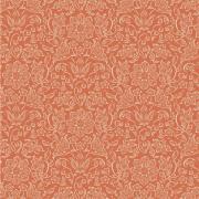 Blender - Lila Coral