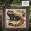 A Year In The Woods II - 9 - Red Panda