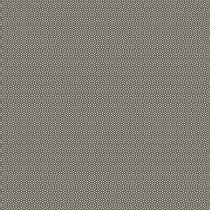 Poppy Seed Charcoal