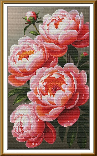 Pivoines luxuriantes