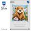 Coussin - Loutre