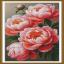 Pivoines luxuriantes