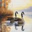 Autumn Reflections - Petit Point