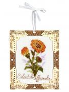 Miniature - Calendula