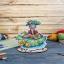 Tortilla la Tortue