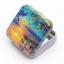 Le paradis des dauphins Tin Box