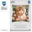 Coussin - Chaton