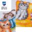 Chatons et livres