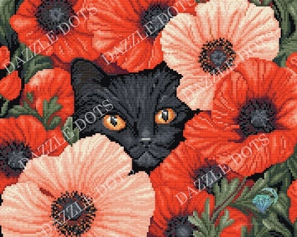 Des yeux parmi les coquelicots