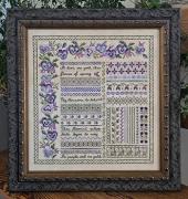 Pansy Garden