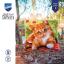Coussin - Adorable chaton