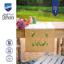 Chemin de Table - Muguet
