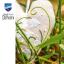 Cœur déco - Muguet