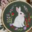 Lapin au jardin