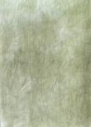 Lin 32 ct - Evergreen