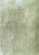 Lin 36 ct - Evergreen