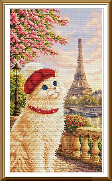 Chat-Française