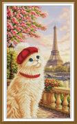 Chat-Française