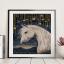 Under the Stars