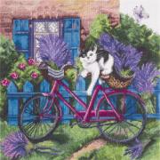 Midi en Provence