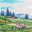 Dans les prairies alpines