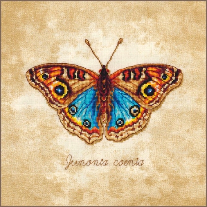 Junonia Coenia