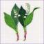 Simple lily of the valley