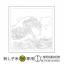 Sashiko Olympus - Hana-Fukin 2094