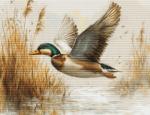 Vol d'or - Petit Point