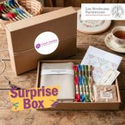 Surprise Box Brodeuses Parisiennes - Lin