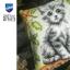 Coussin - Chaton