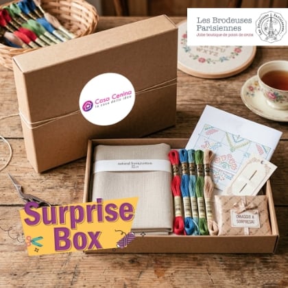 Surprise Box Brodeuses Parisiennes - Lin