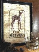 Fawn, The